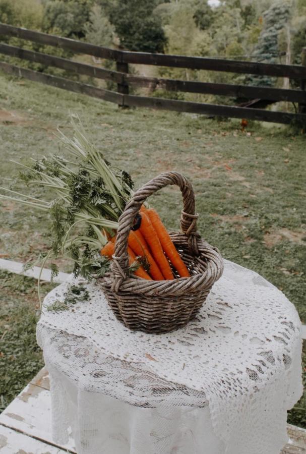 Thistle And Pine Cottage Farmstay Ταουράνγκα Εξωτερικό φωτογραφία